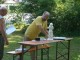 Thumbs/tn_CIMG1865.jpg