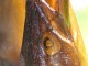 Thumbs/tn_CIMG1920.jpg