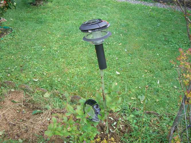 ../Images/CIMG3948.jpg